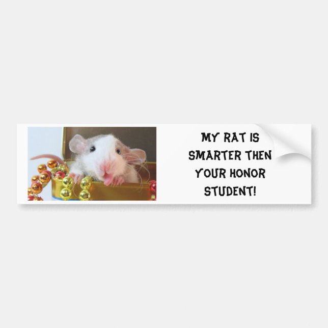 Rat Honor Student Bumper Sticker (Front)