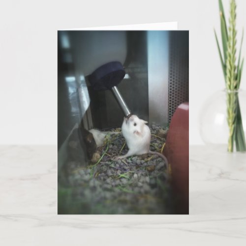 RAT_ically Parched  Thank You Card