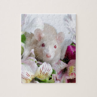 Rat in flowers. jigsaw puzzle