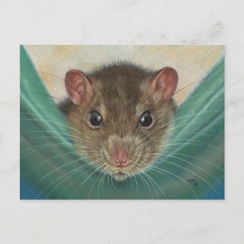 Rat in Hammock postcard KMCoriginals