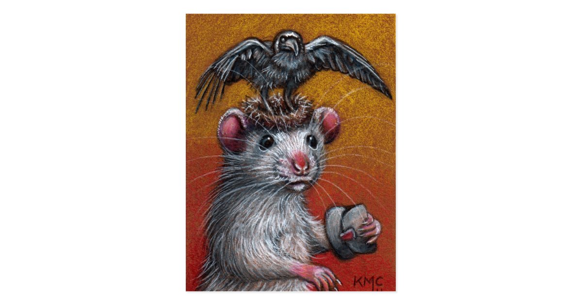 Rat in Raven Hat Postcard | Zazzle.com