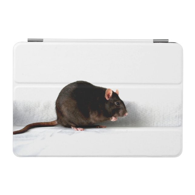 Rat ipacna iPad mini cover (Horizontal)