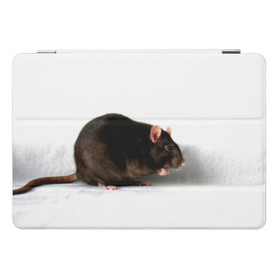 Rat ipacna iPad pro cover