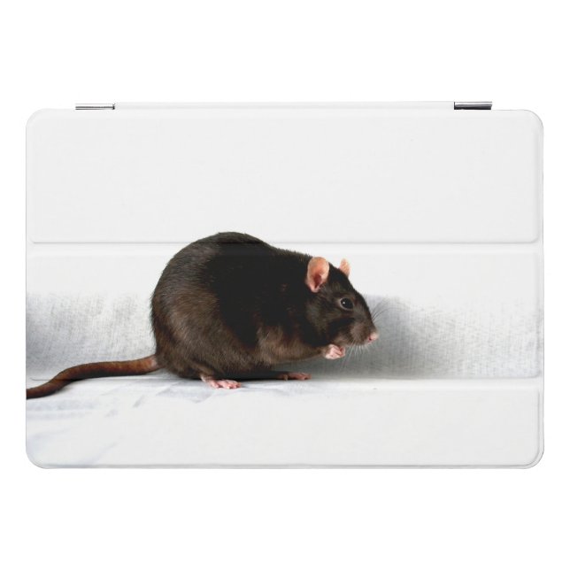 Rat ipacna iPad pro cover (Horizontal)