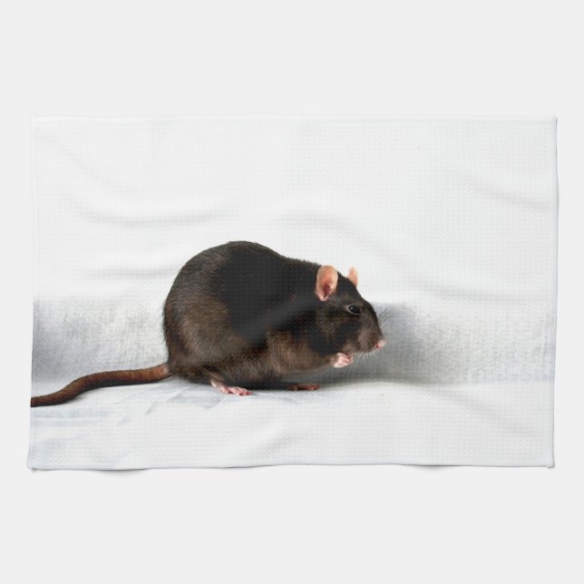 Rat ktcnm kitchen towel (Horizontal)