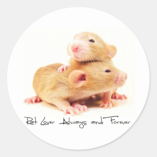 Rat Lover Always and Forever Classic Round Sticker