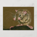 Rat Mad Paws Up Postcard