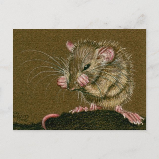 Rat Mad Paws Up Postcard (Front)