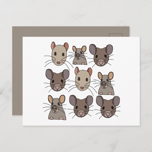 Rat Mouse Mice Postcard (Front/Back)