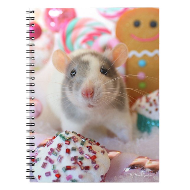 Rat Notebook (Front)