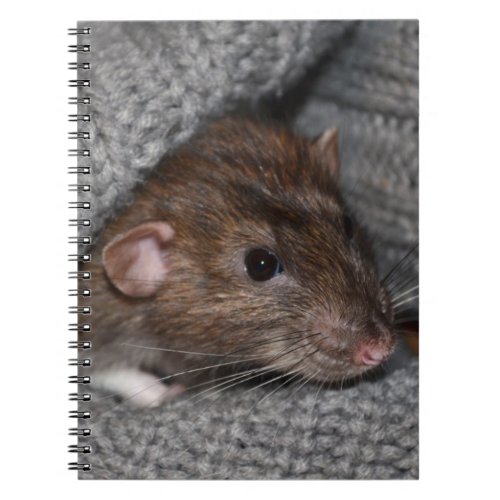 Rat Notebook