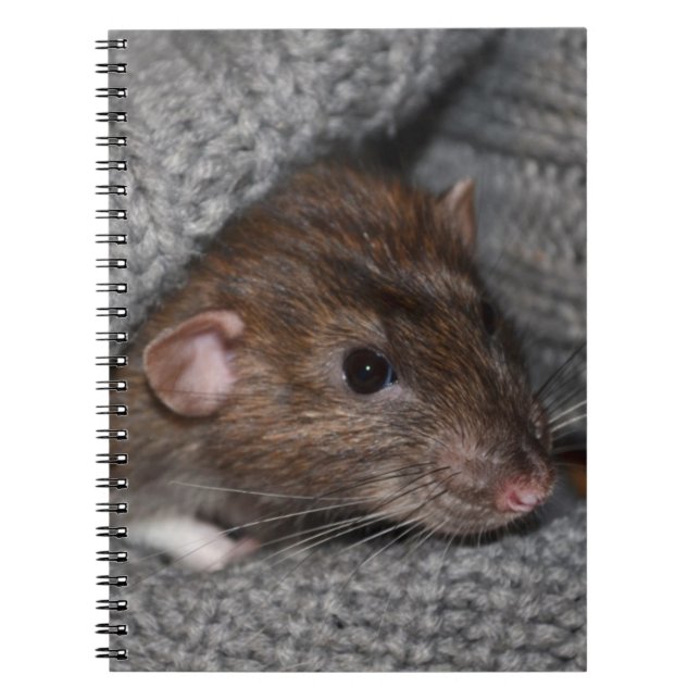 Rat Notebook (Front)