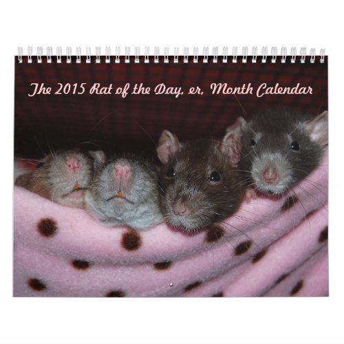 Rat of the Day er Month Calendar