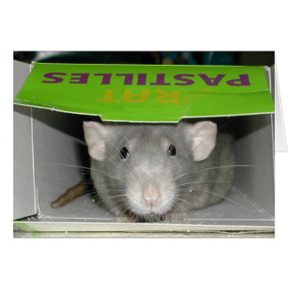 Rat Pastilles Cards