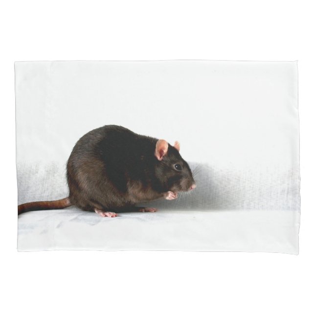 Rat pccna pillow case (Front)