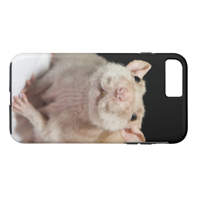 Rat Phone Case | Zazzle Rat Phone Case | Zazzle