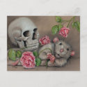 Rat Rose Skull Postcard drawing