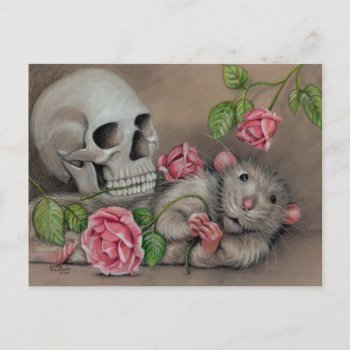 Rat Rose Skull Postcard Drawing by KMCoriginals at Zazzle