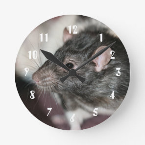 Rat Round Clock