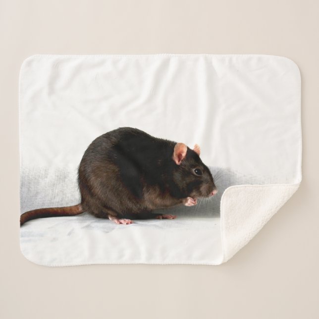 Rat sbcnm sherpa blanket (Front (Horizontal))