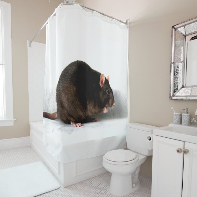 Rat scm shower curtain (In Situ)