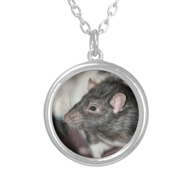 Rat Silver Plated Necklace (Front)