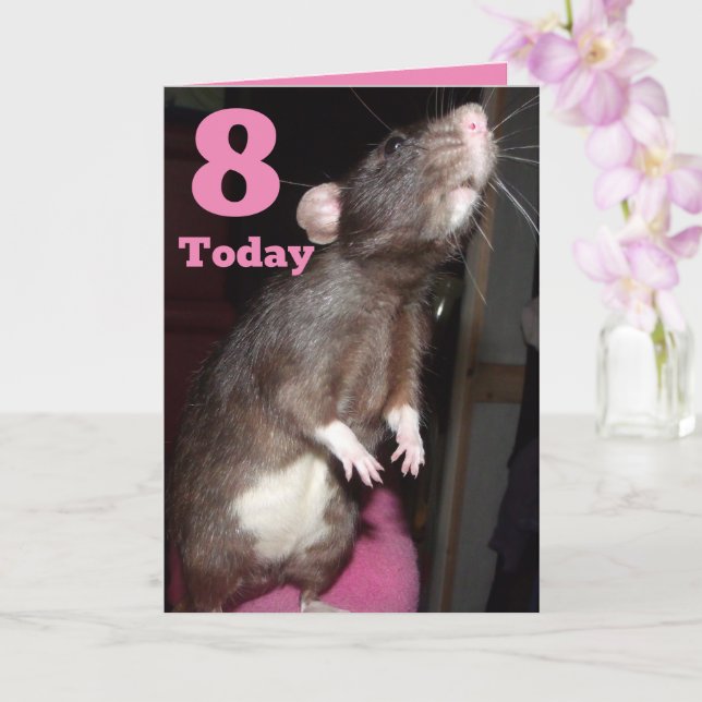 Rat standing customizable 8th Birthday Card (Orchid)