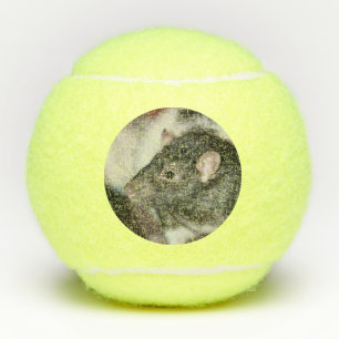 Rat Tennis Balls