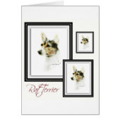 Rat Terrier (Front)