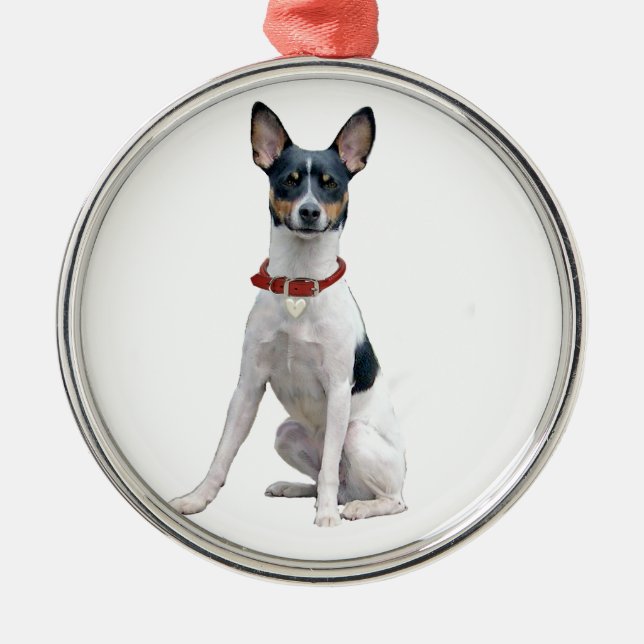 Rat Terrier (A) Metal Ornament (Front)
