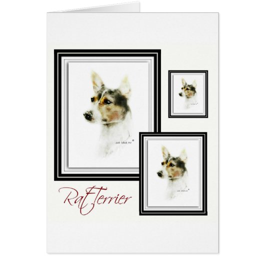 Rat Terrier Cards (Front)