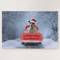Rat Terrier Dog in Snow sitting in Christmas Truck