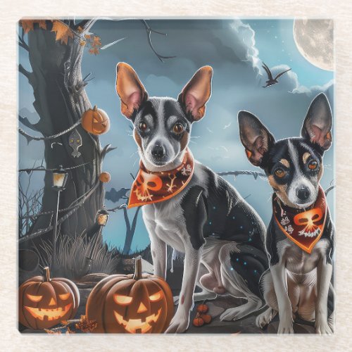 Rat Terrier Halloween Spooky  Glass Coaster