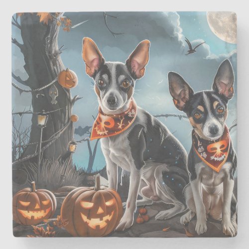 Rat Terrier Halloween Spooky  Stone Coaster