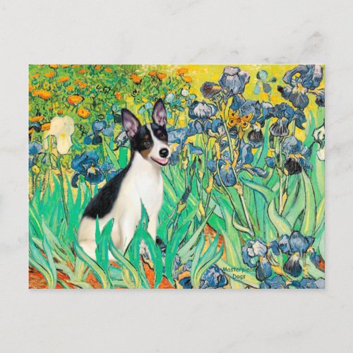Rat Terrier _ Irises Postcard