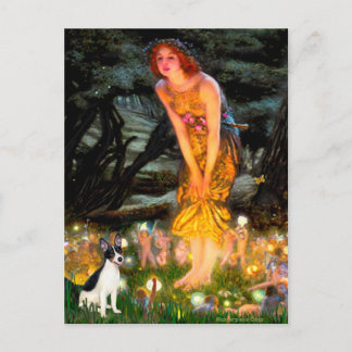 Rat Terrier - MidEve Postcard