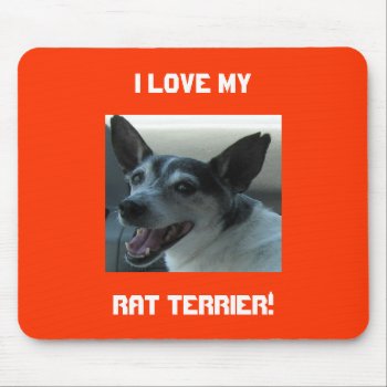 Rat Terrier Mouse Pad by Lilleaf at Zazzle