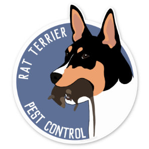 Rat terrier pest control sticker