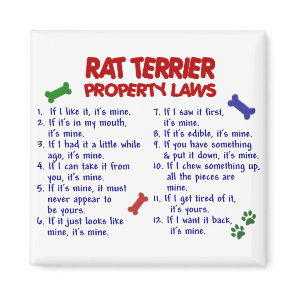 RAT TERRIER Property Laws 2 Magnet