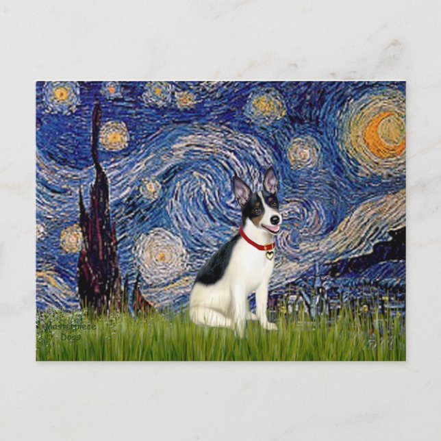 Rat Terrier - Starry Night Postcard (Front)