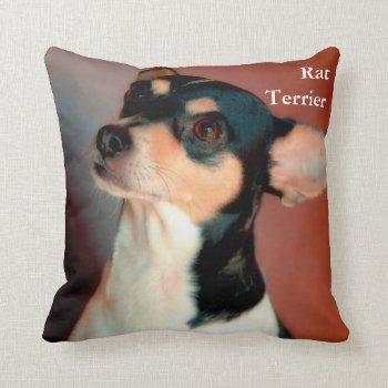 Rat Terrier Throw Pillow by artinphotography at Zazzle