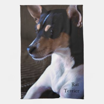 Rat Terrier Towel by artinphotography at Zazzle