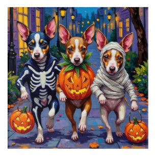 Rat Terrier Trick-or-Treating Halloween Costumes Acrylic Print