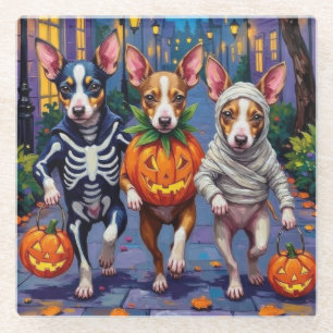 Rat Terrier Trick-or-Treating Halloween Costumes Glass Coaster