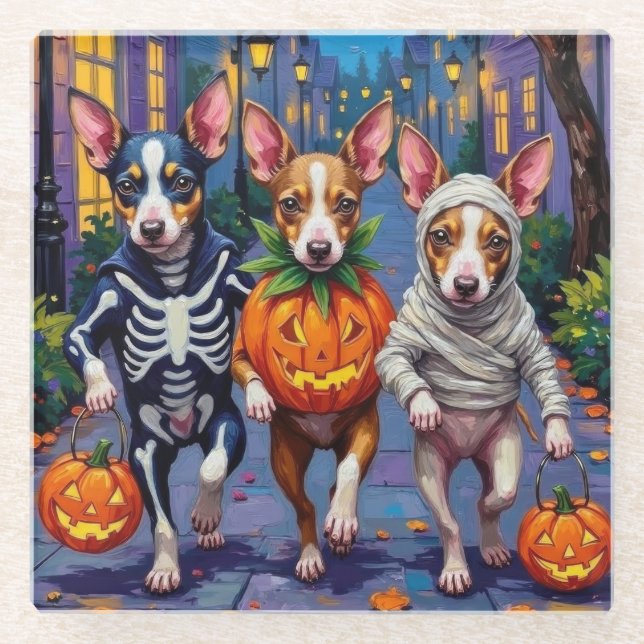 Rat Terrier Trick-or-Treating Halloween Costumes Glass Coaster (Front)