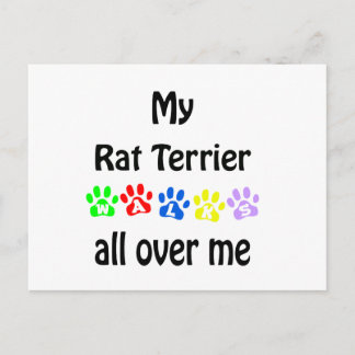 Rat Terrier Walks Design Postcard