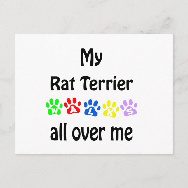 Rat Terrier Walks Design Postcard (Front)