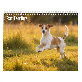 Rat Terriers 2027 Wall calendar