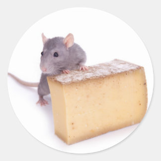 rat with cheese classic round sticker