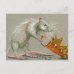 Rat With Leaf Fall Postcard at Zazzle
